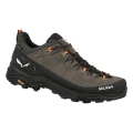 Salewa Wanderschuhe Alp Trainer 2 GTX (Alpine, Wildleder, wasserdicht) braun Herren